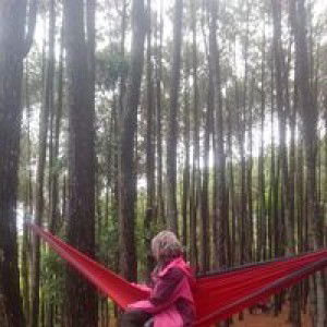 Yesi Serviana profile icon