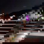 Panisara Thaimchan profile icon