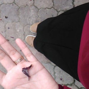 khadijah arifin profile icon