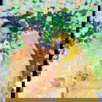 Sri Wahyuni profile icon