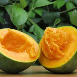 Anisa Rusdi profile icon