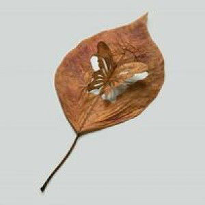 Putri Setio Ningsih profile icon