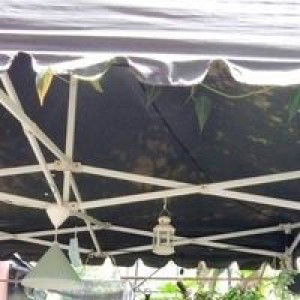 Linda Lestary profile icon