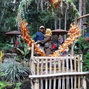 Sholeha Tri Upaya profile icon