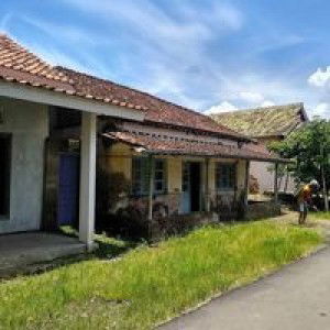 Artie Amannda profile icon