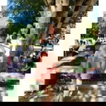 Prince Atchara profile icon