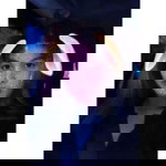 Apichya Prajit profile icon