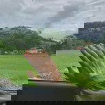 Siti Faiziah Rahmah profile icon