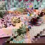 Shei Callejo-Ramirez profile icon