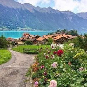 Neciel Leicen profile icon