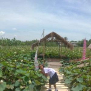 ข้าของแผ่นดิน profile icon