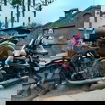 Pig Thien Than profile icon