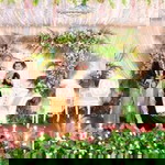 Melyda Kartikasari profile icon