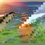 Mary Grace P. Gelicame profile icon