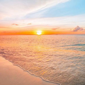 Emiee Lim profile icon