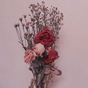 Istianah Anah profile icon