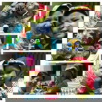 Linna Rustanto profile icon