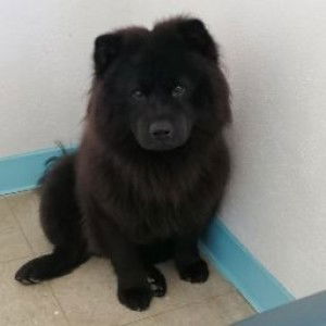 Lea Ferandez profile icon