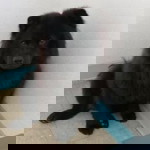 Lea Ferandez profile icon