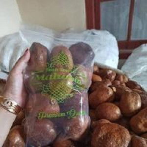 Fatimah Az Zahra profile icon