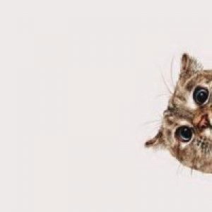 Zahirah Mikhayla profile icon