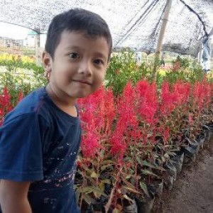 wahyu ardhan profile icon