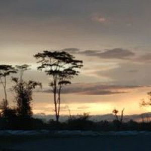 Reevhana Affandy profile icon