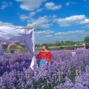 Katai Sukanda profile icon