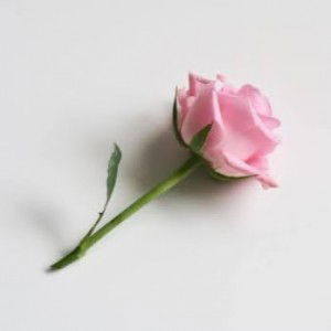 azlina abdullah profile icon