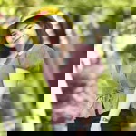 Sudawan Kaewudon profile icon