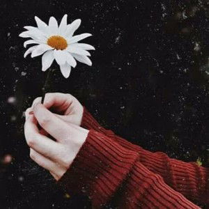 Siska Semett profile icon