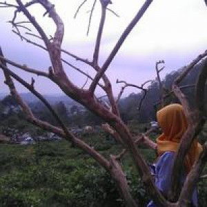 Endah Susiloq profile icon