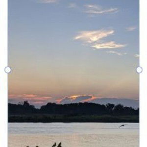 Ahlia Ahmad Ridhwan profile icon