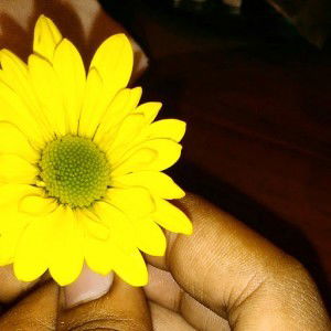 Anisa Khair profile icon