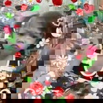 ปู รักนุ่น profile icon