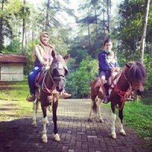 Andhira Dini Kusuma Putri profile icon