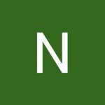 Nur Aisyah profile icon
