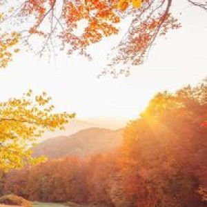 Loryvic Jo Macamay profile icon