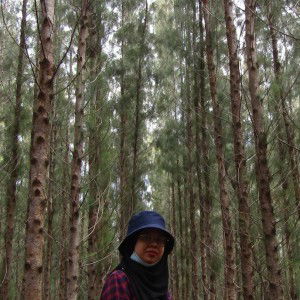 yayamansor profile icon