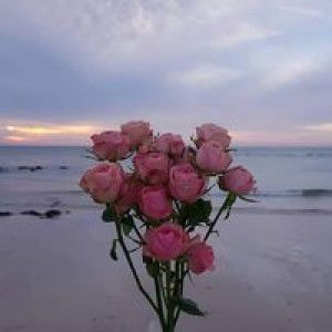 Nurjhana Sani profile icon