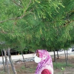 Eka Dewi Afriani profile icon