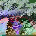 Rohmaniyah profile icon