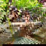 ไอ่ โคตรรัก profile icon