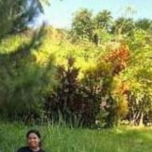 Diane Reyes profile icon