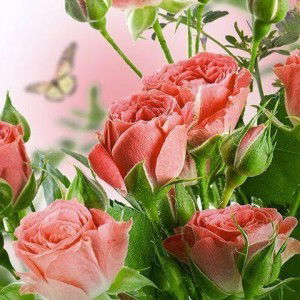 siti amirah mazlan profile icon