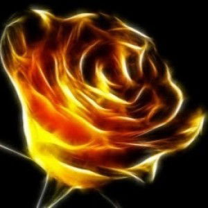 Sara Azmi profile icon