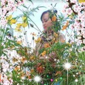 Như Nhí profile icon