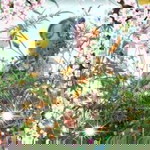 Như Nhí profile icon