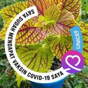 Emilly Mell profile icon