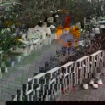 Amelia Christina profile icon